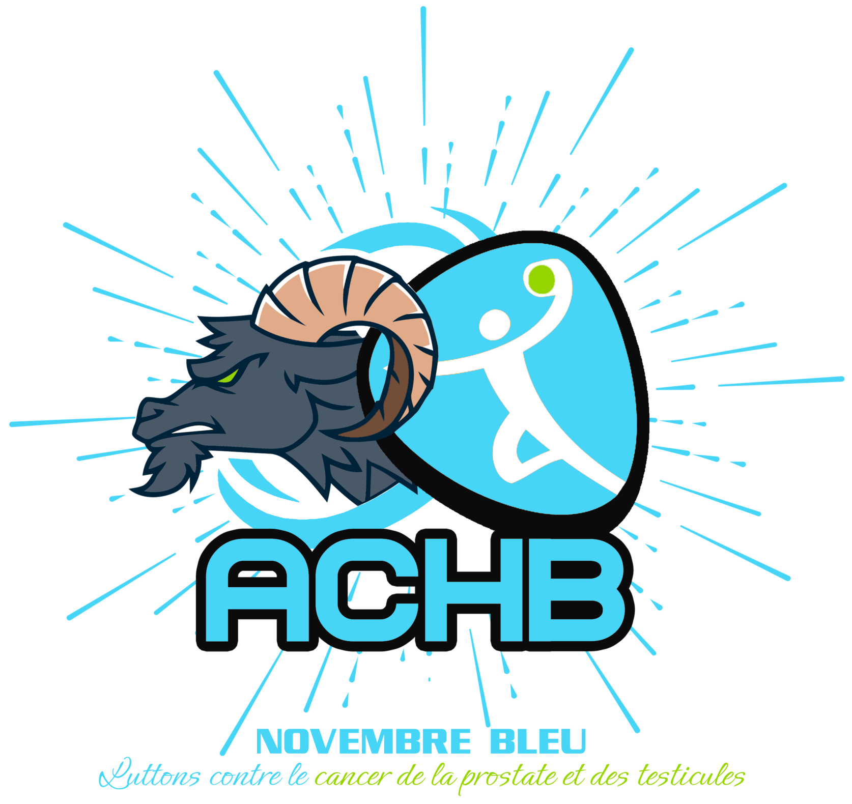 Alès Cévennes Handball